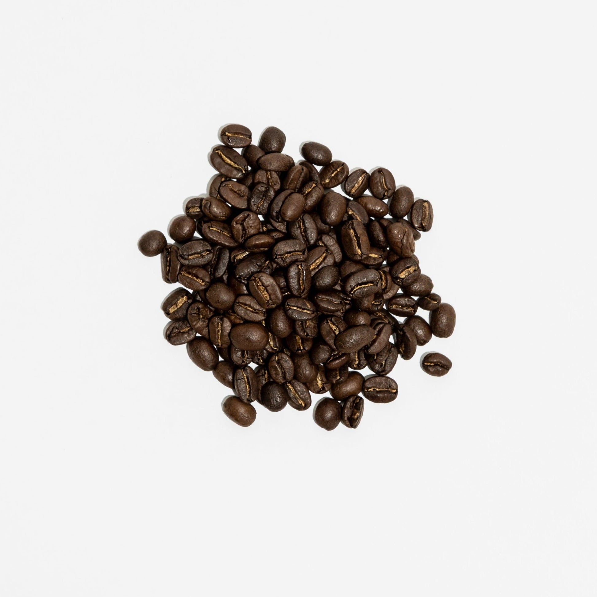 Cold Brew - Bongo Roasting Co.