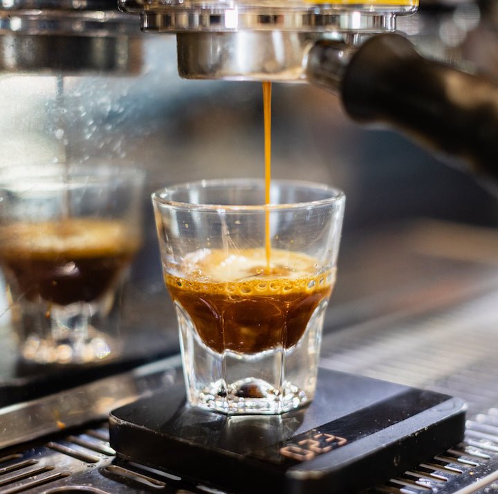 Holiday Coffee Class - Bongo Roasting Co.